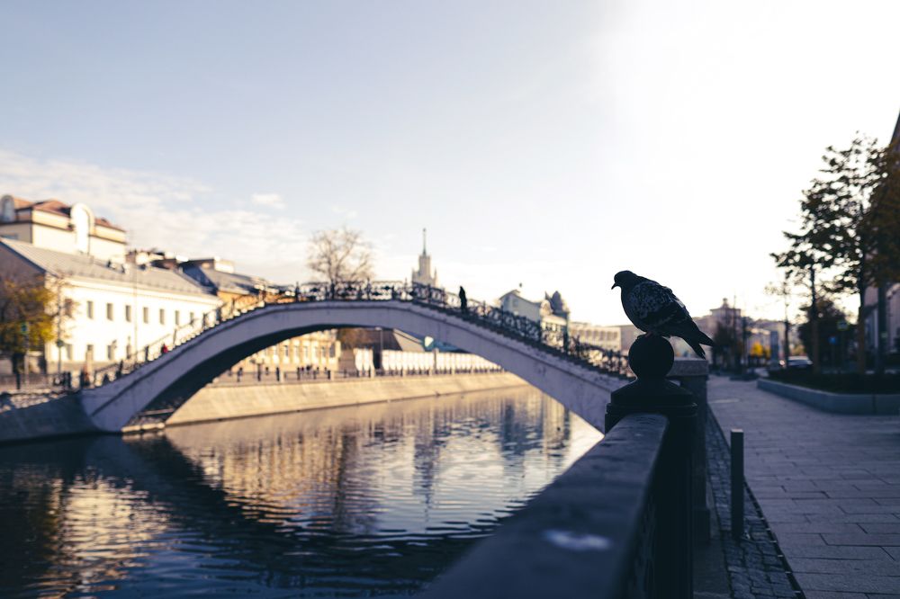 Photograph by 
