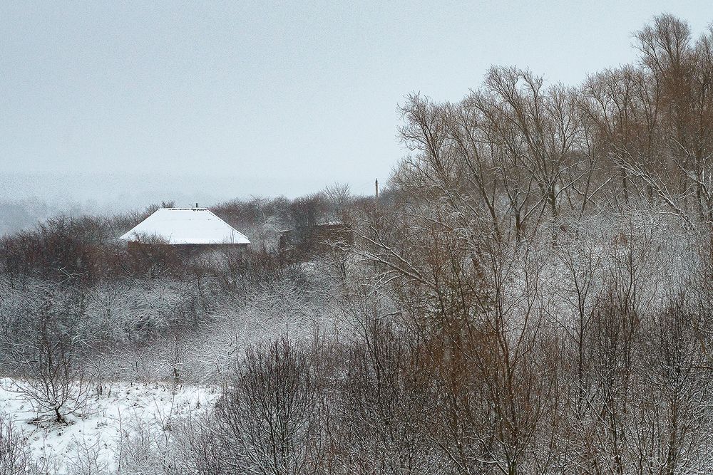 Первый снег, сумерки
