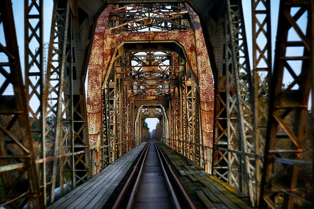 Photograph by Anna Suchcicka