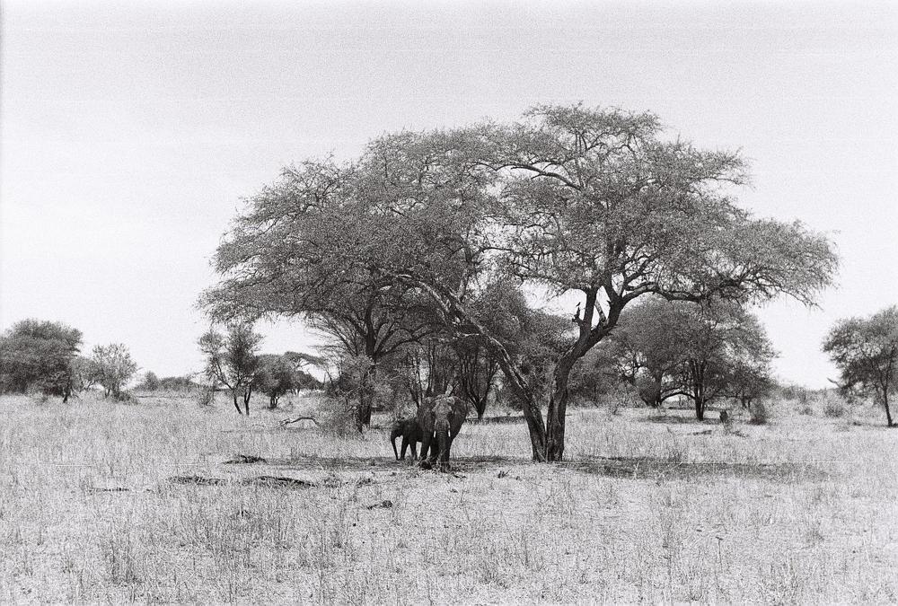 Photo #6768703