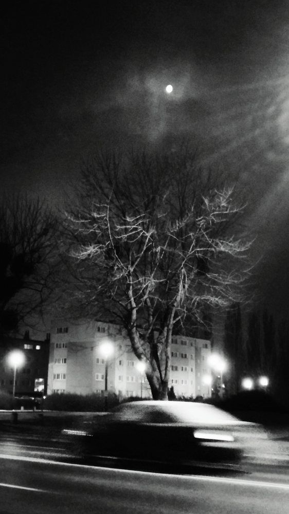 In the darkness of the night
