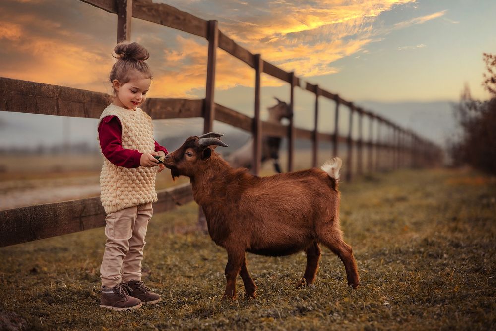 Photograph by Вероника Барских