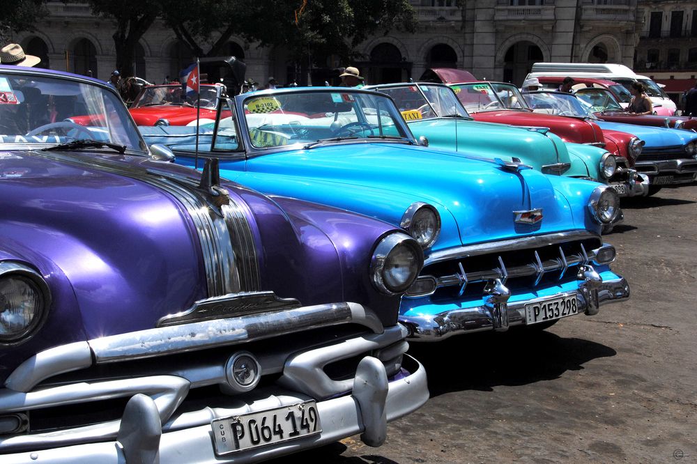 Photograph by Luisa Martina Hernández