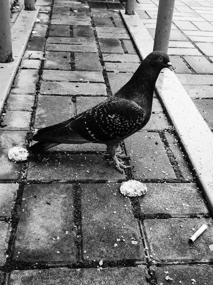 Photograph by Татьяна Осипова