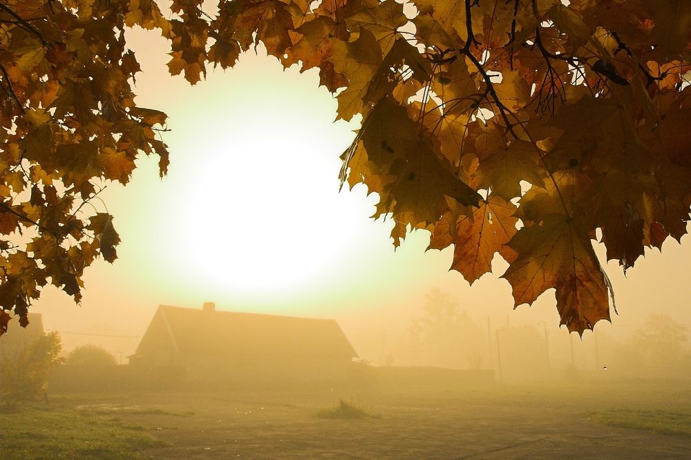 Photograph by Геннадий