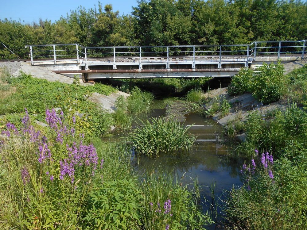 Photograph by Наталья Галай