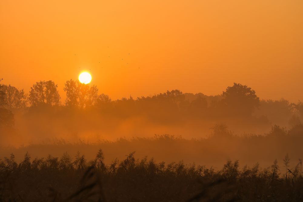 Photograph by Wendy Vanhoudt