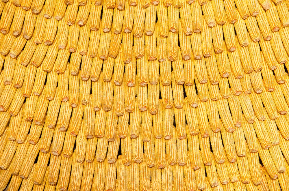 Photograph by Александр Шматков