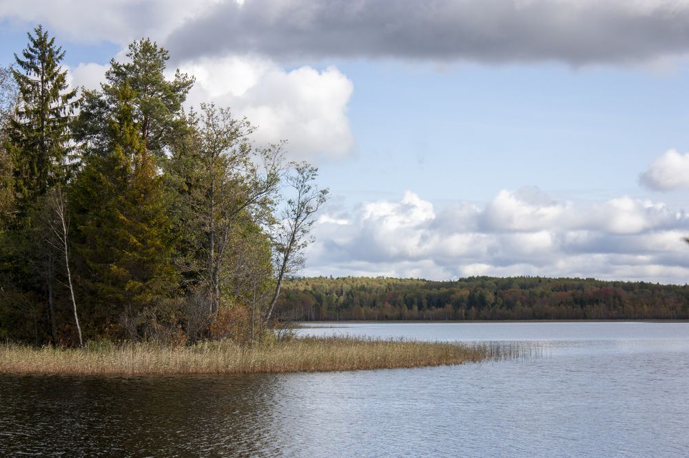 Photograph by Владимир Бузов