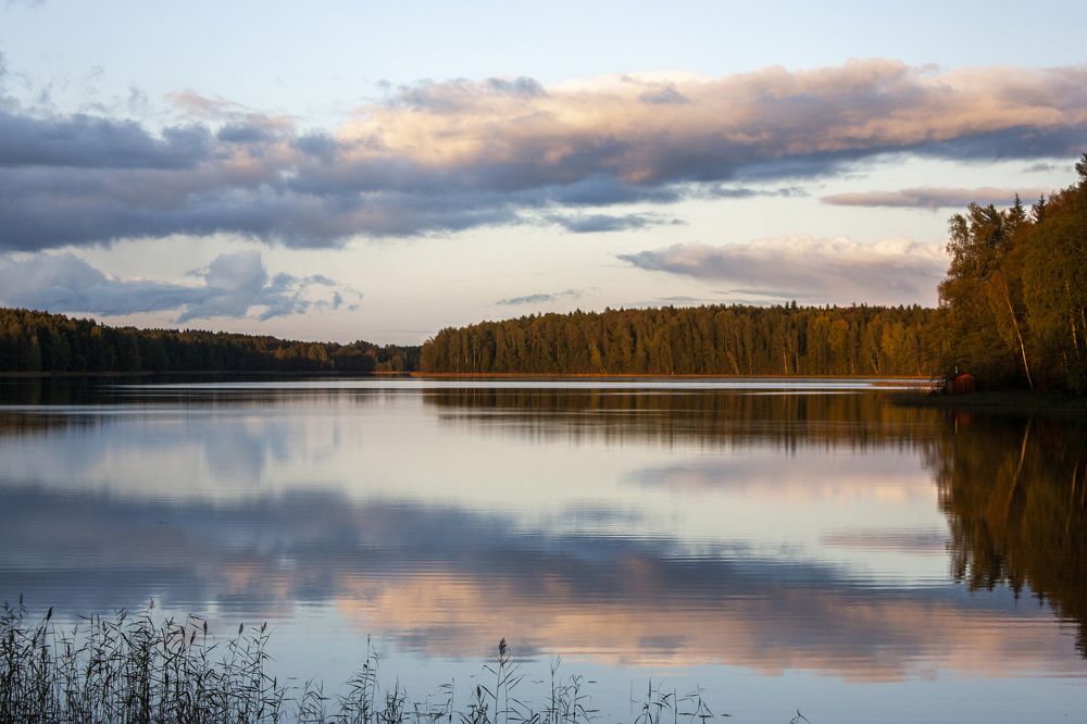 Photograph by Владимир Бузов