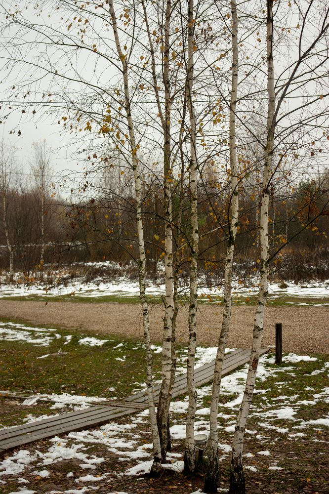 Photograph by Владимир Бузов