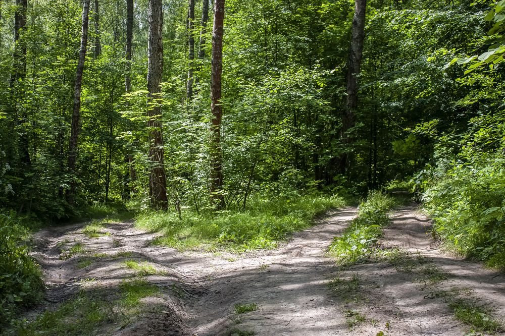 Photograph by Владимир Бузов