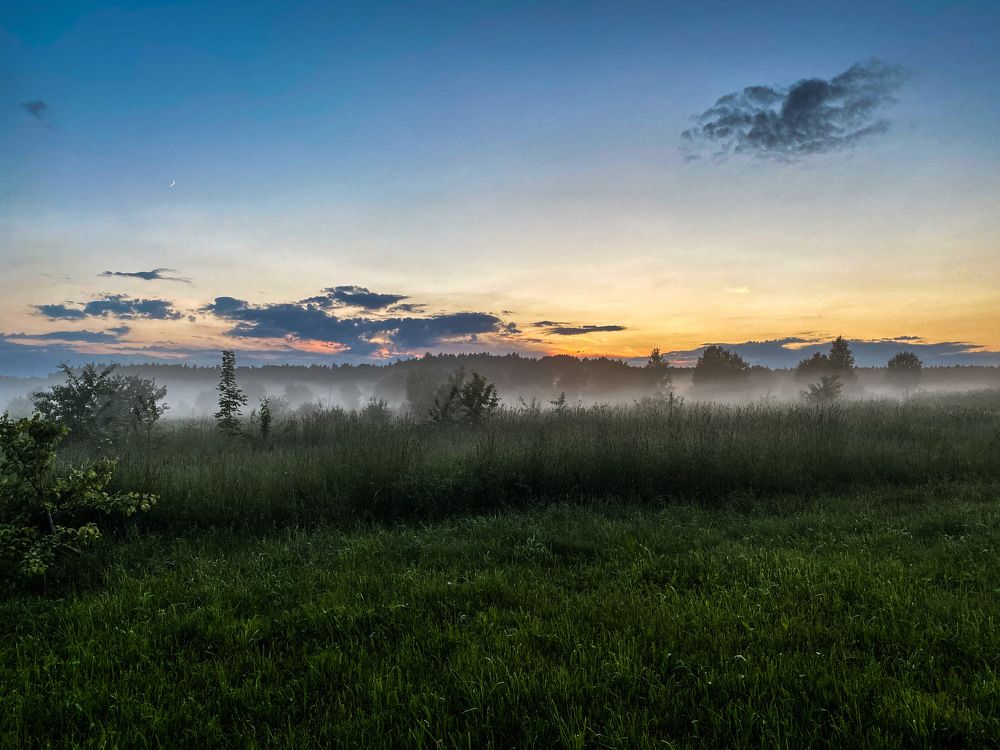 Photograph by Виктория Лаур