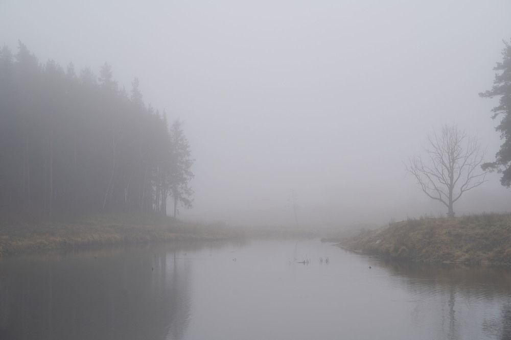 Photograph by Владислав Шигера