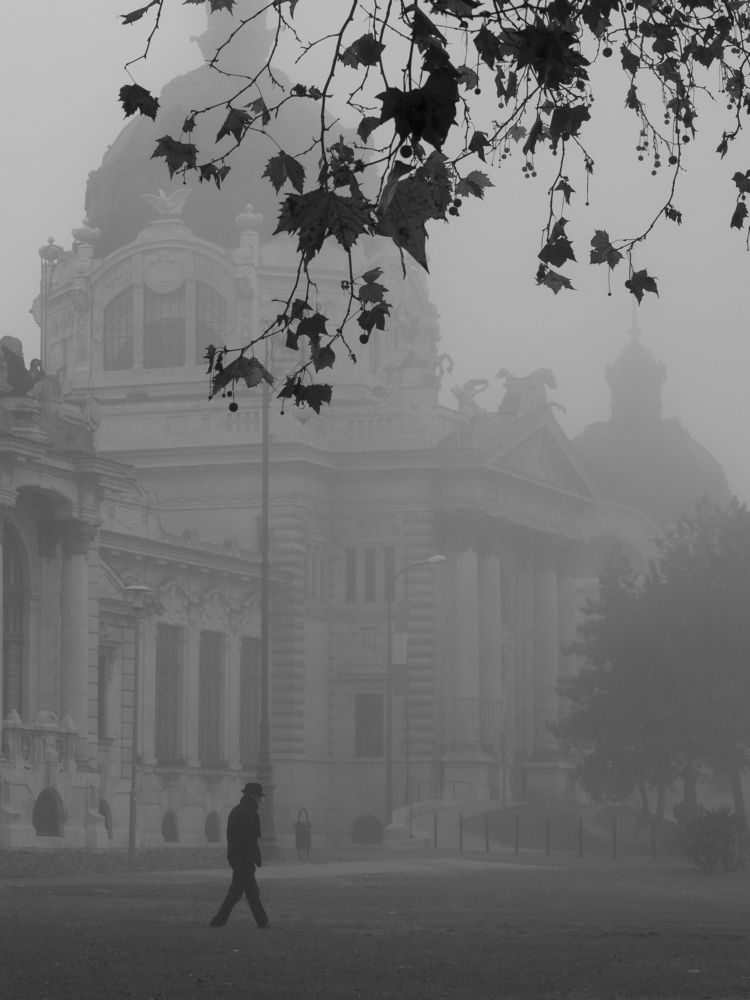 Фотография автора Denes Doma