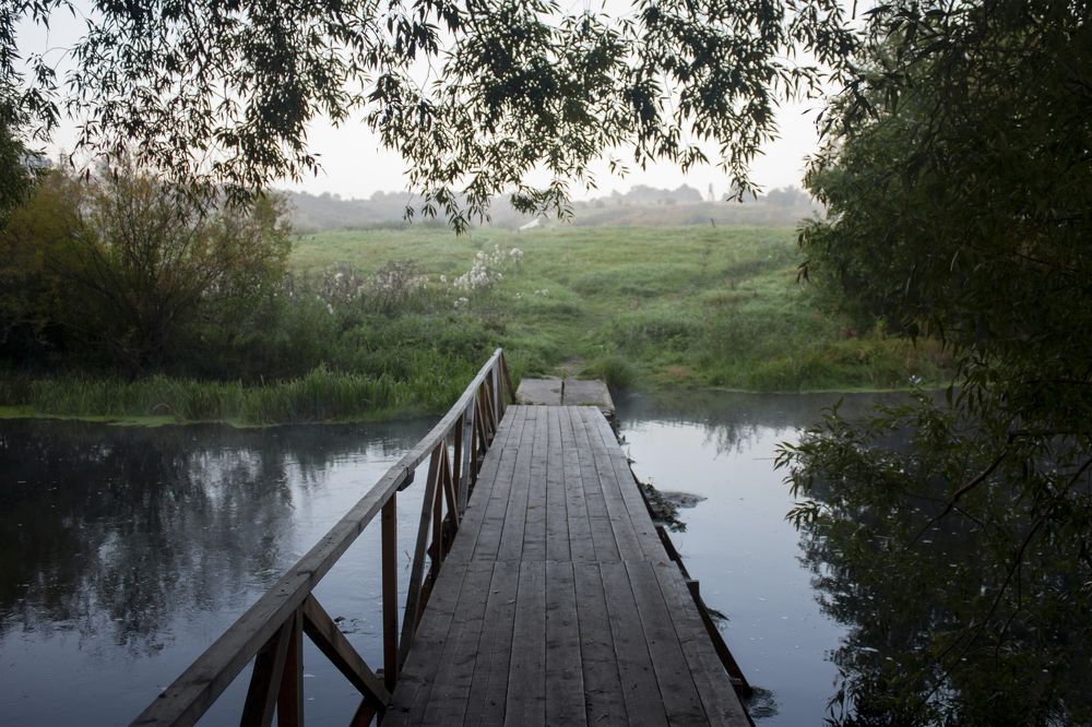 Photograph by Владимир Бузов