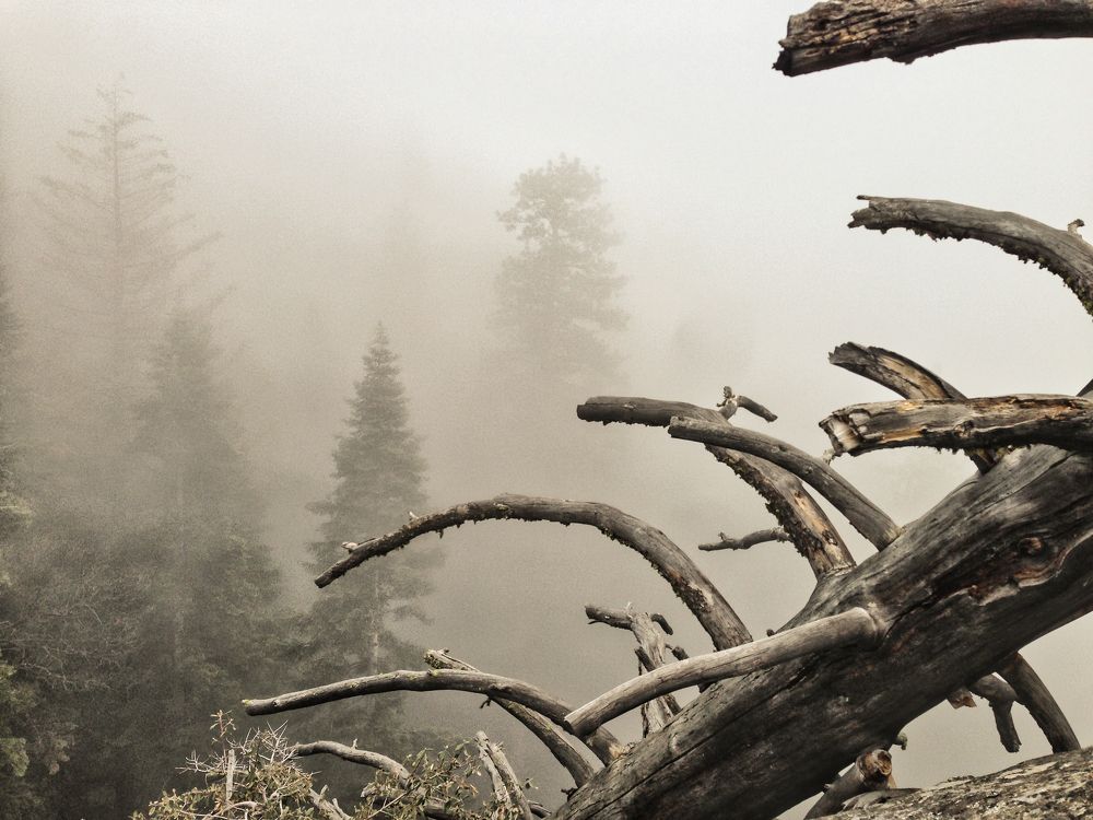 Photo #6769329