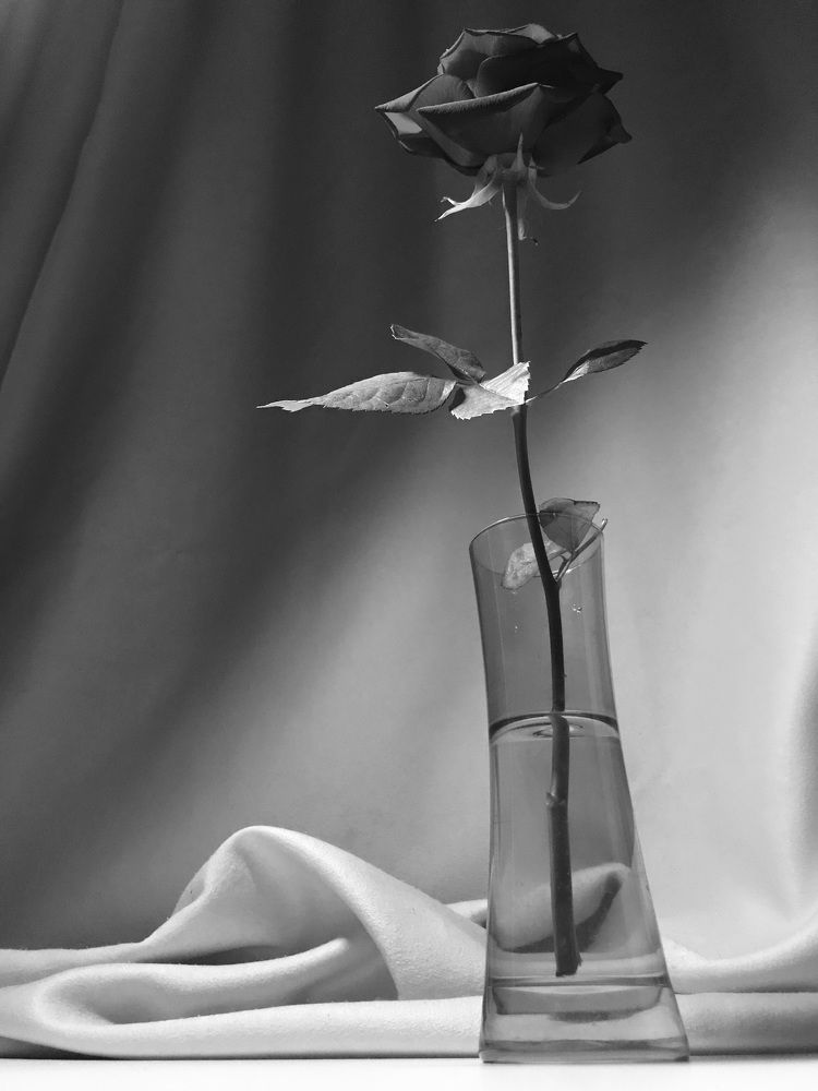 Photograph by Димитрий Осинцев