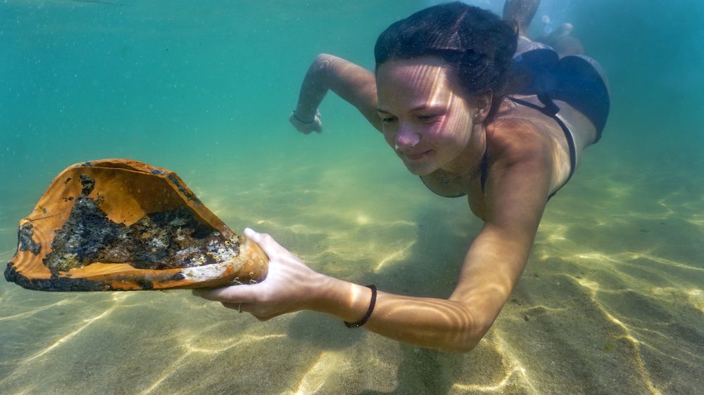 Фотография автора Эрнст Антонов