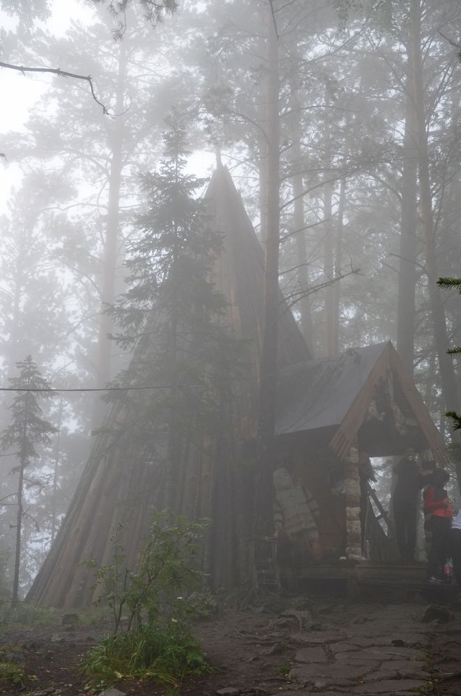 Photograph by Олёна Юрченко