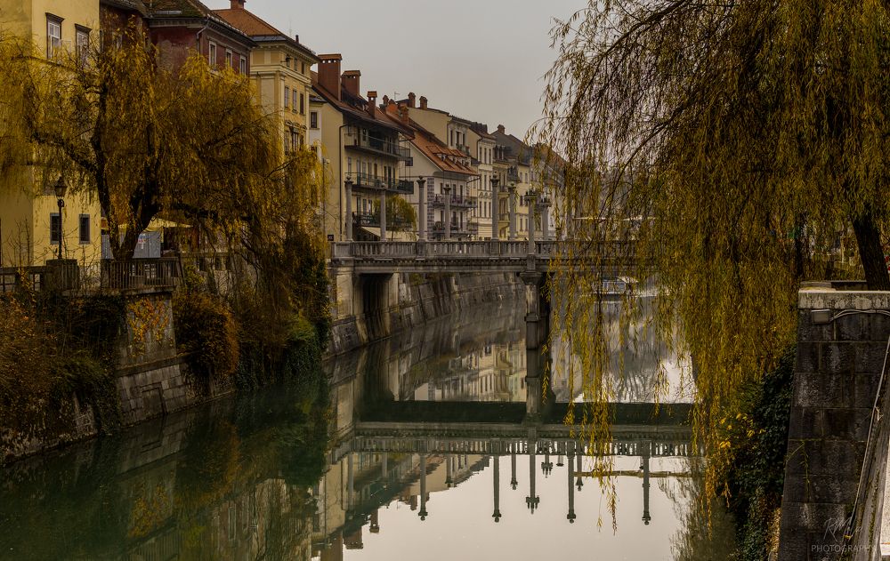 Photograph by Radenko Malić