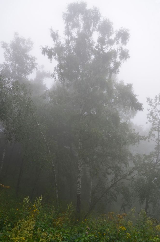 Photograph by Олёна Юрченко