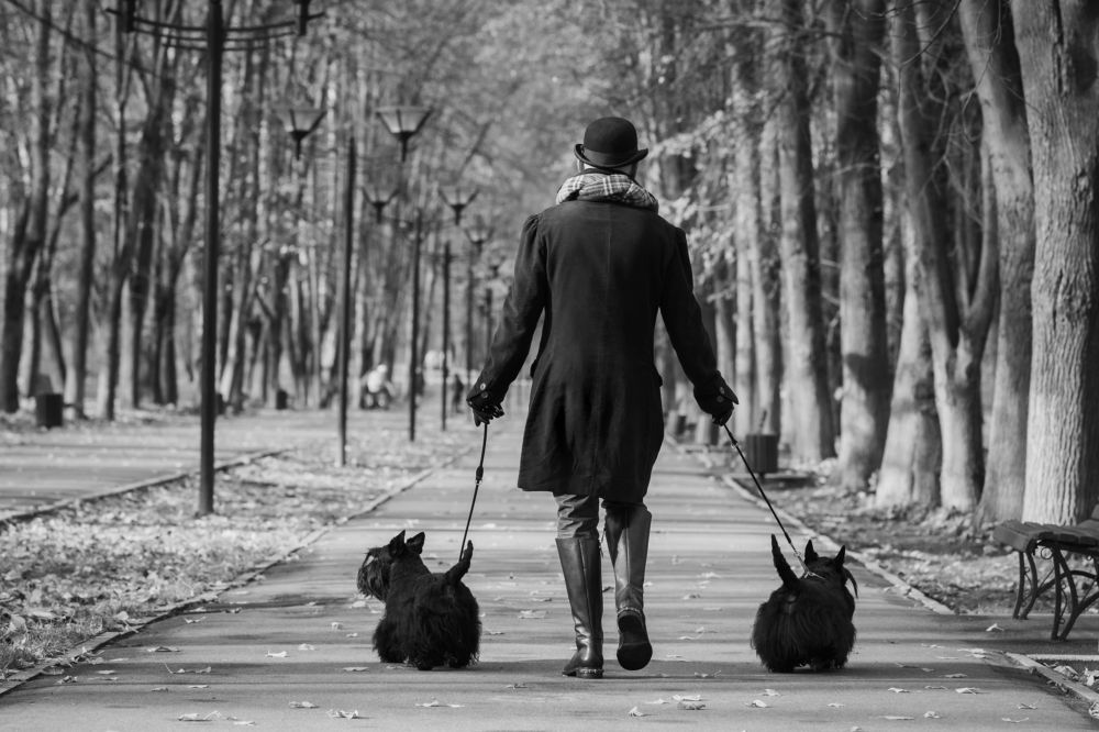 Photograph by Спесивцева Эльмира