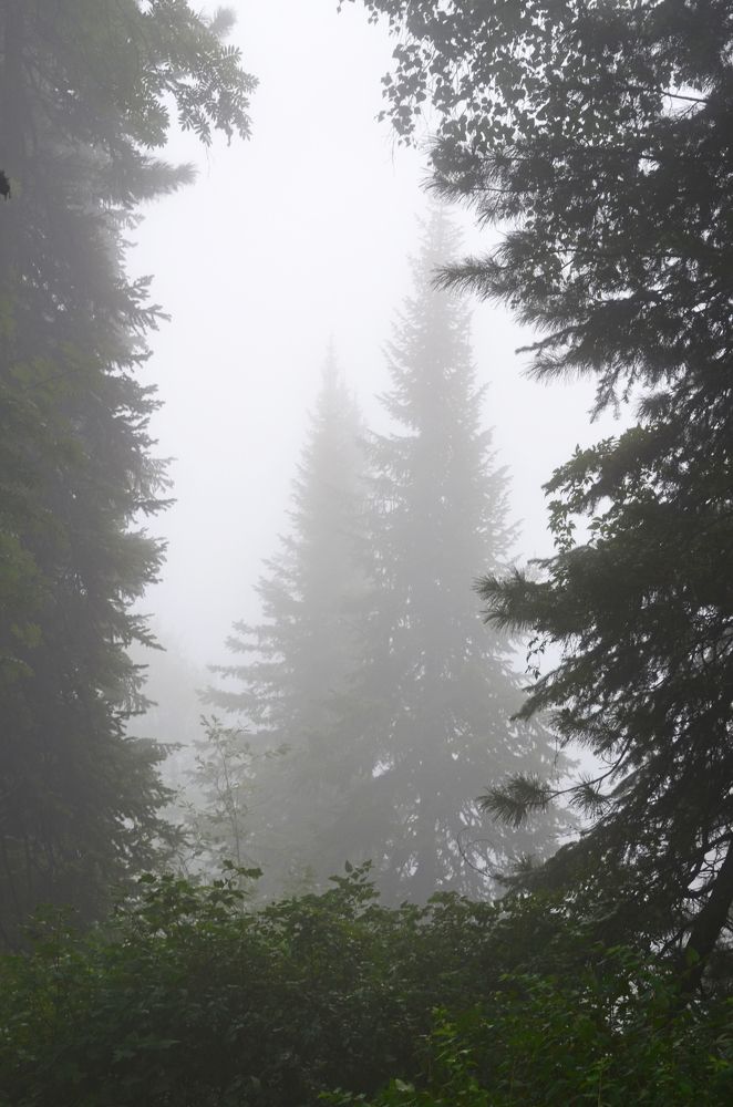 Photograph by Олёна Юрченко