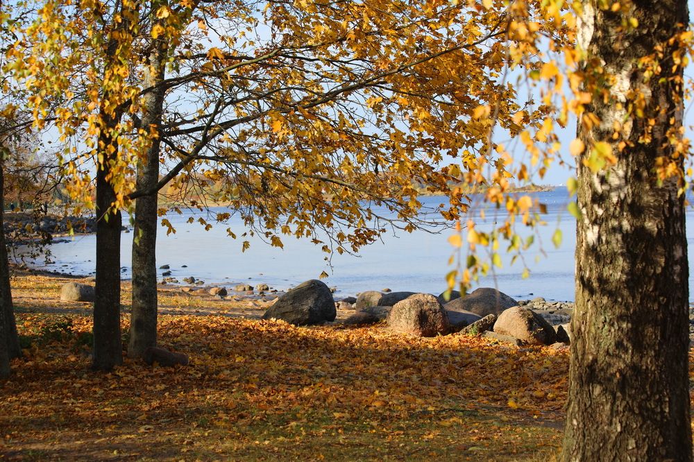 Осень на Финском заливе.