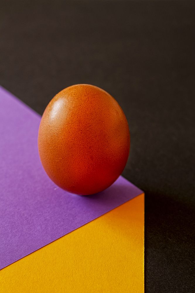 Photograph by António Manuel de Pereira