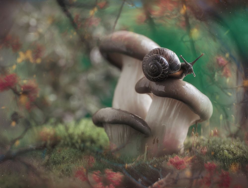 Фотография автора Мария Обидина