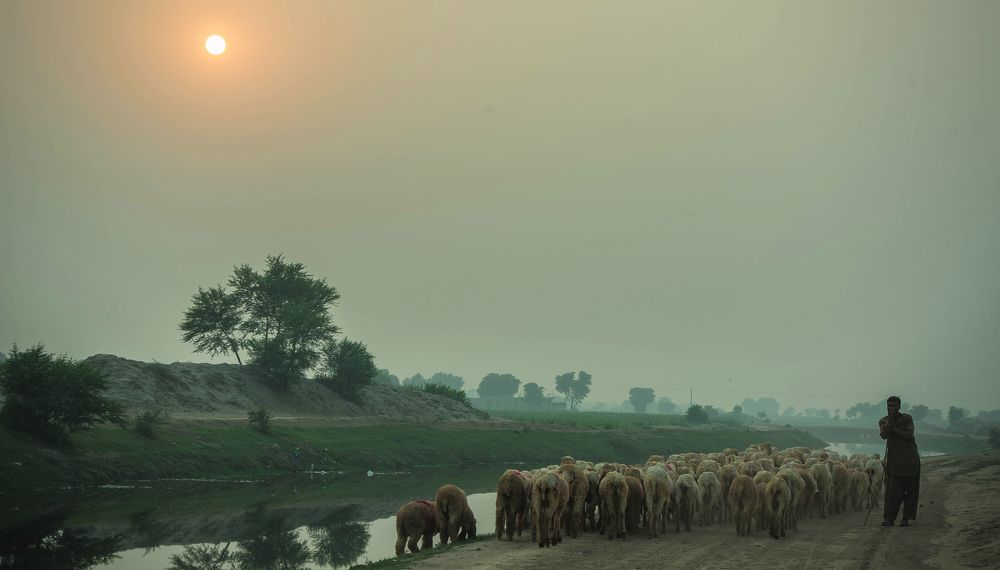 Photograph by Sajjad Maqsood