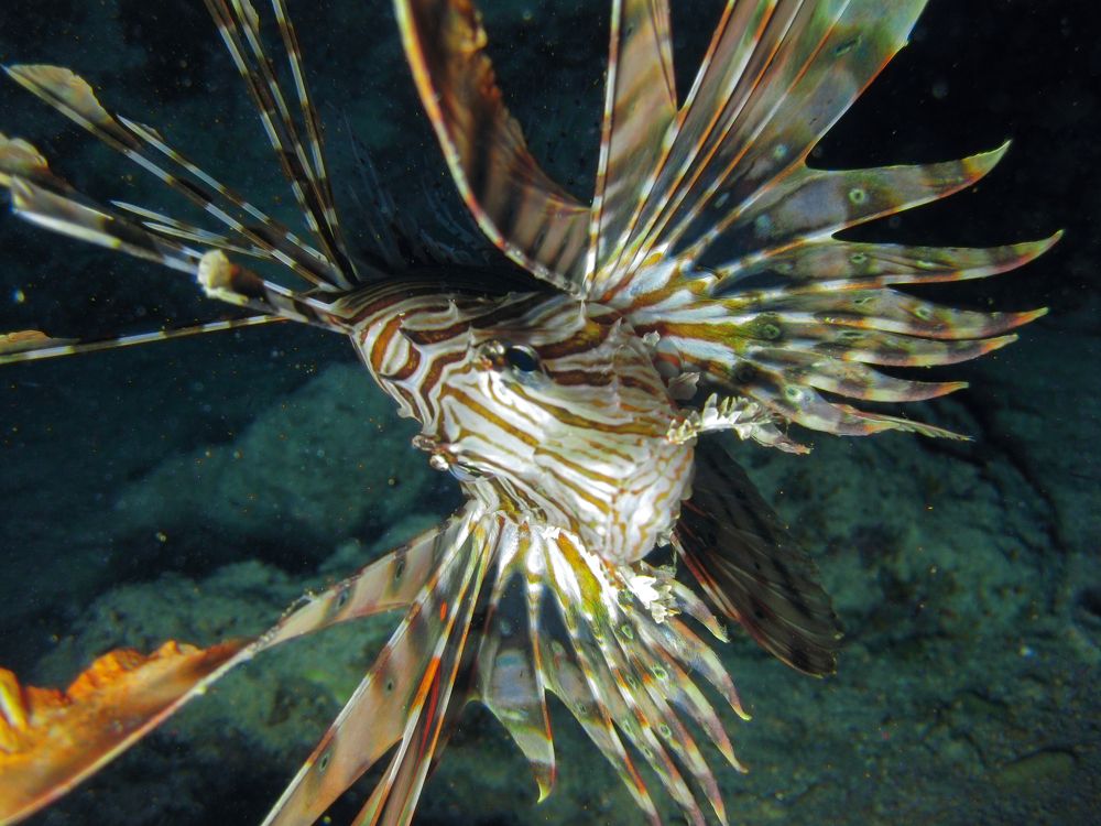 Photograph by Константин Осипов