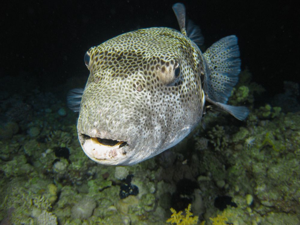 Photograph by Константин Осипов