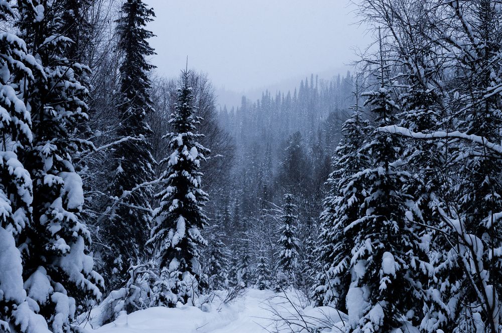 Photograph by Алексей Закусов