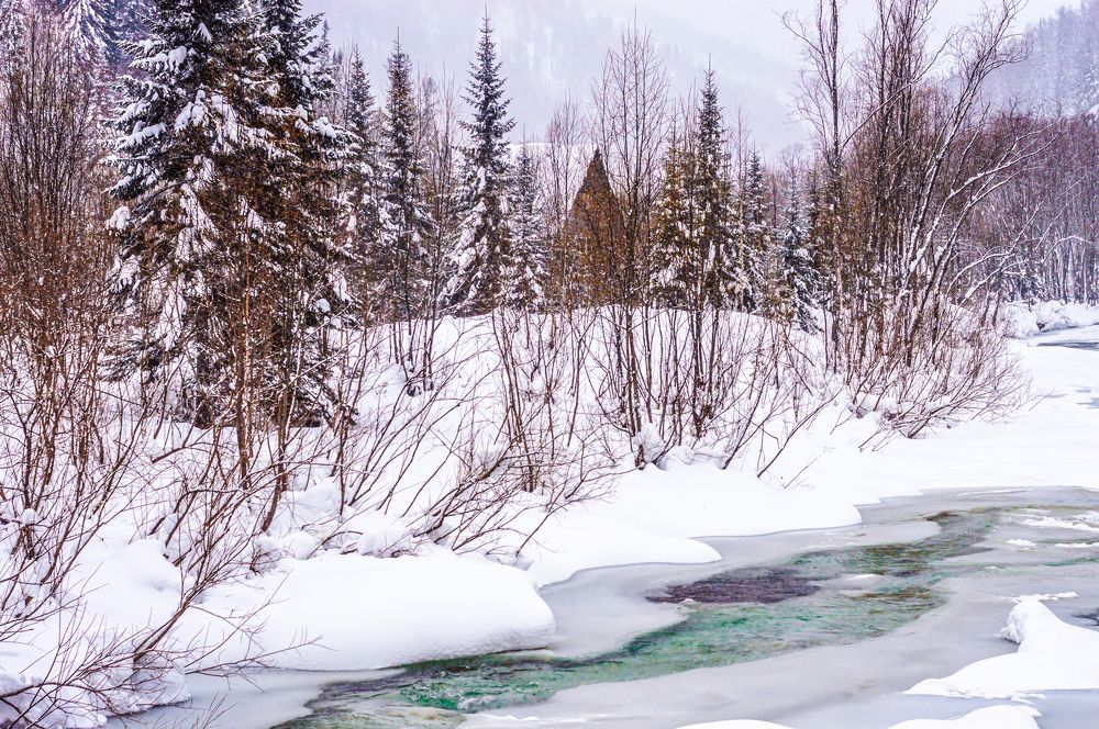 Photograph by Алексей Закусов