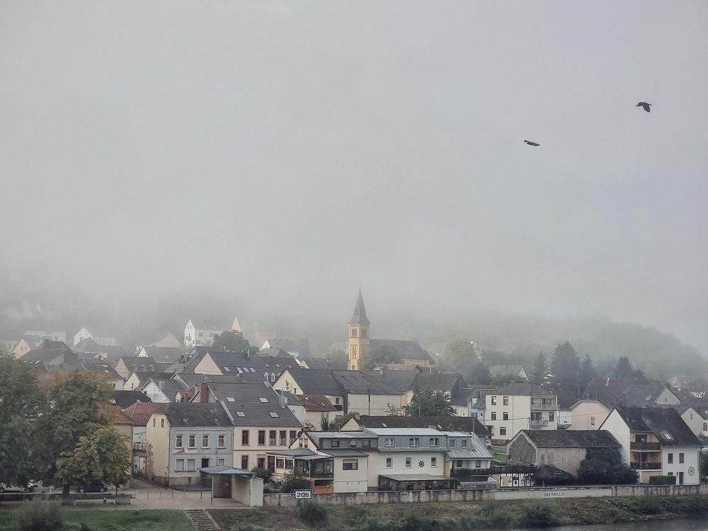 Photograph by Юлия Борт