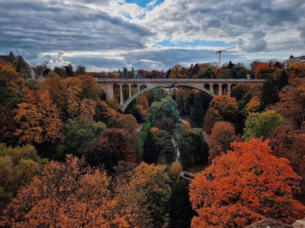 Photograph by Юлия Борт