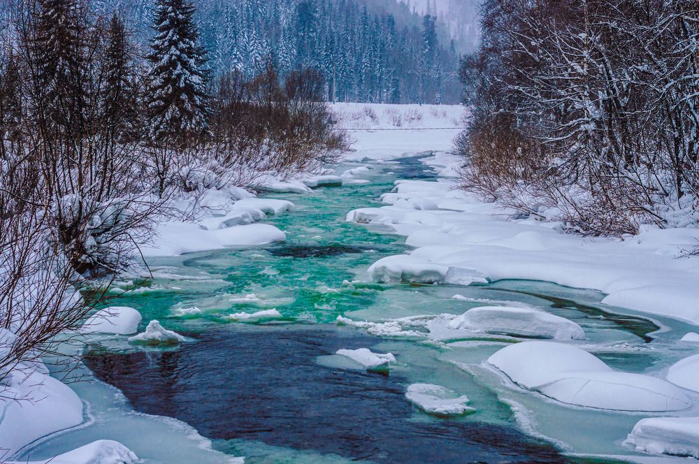 Photograph by Алексей Закусов