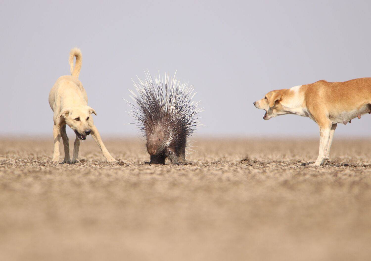Photo #6769809