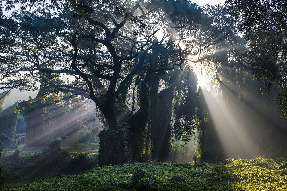 Photograph by Abel Cancino Gutierrez