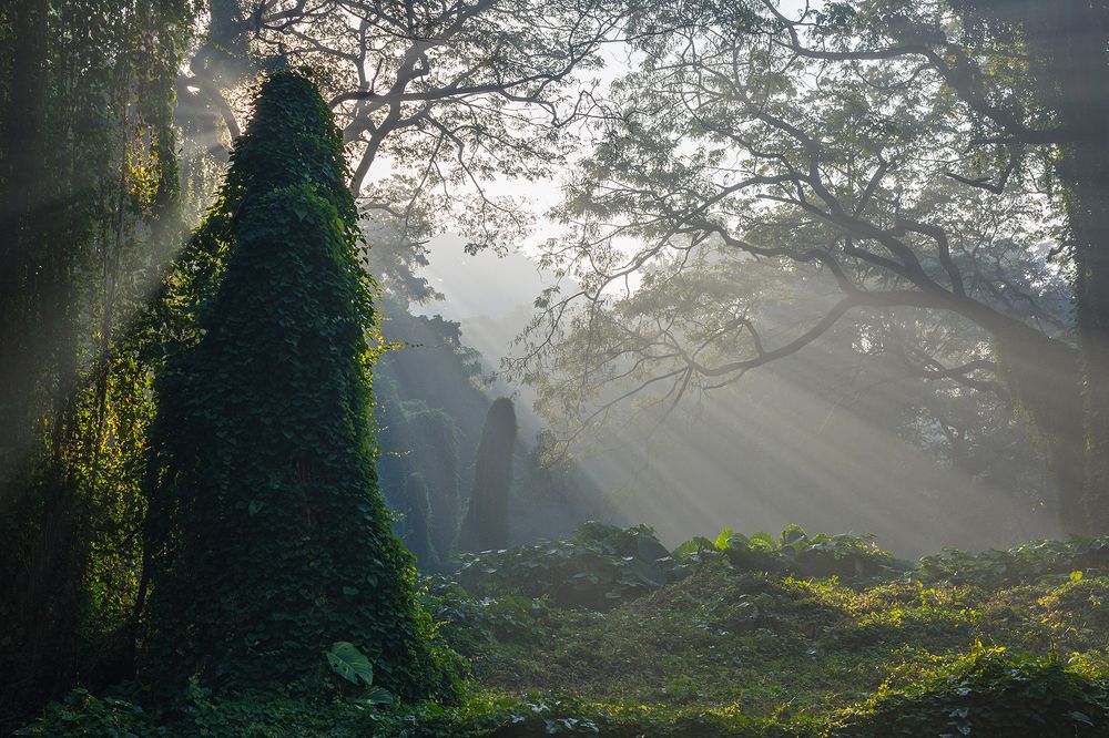 Photograph by Abel Cancino Gutierrez