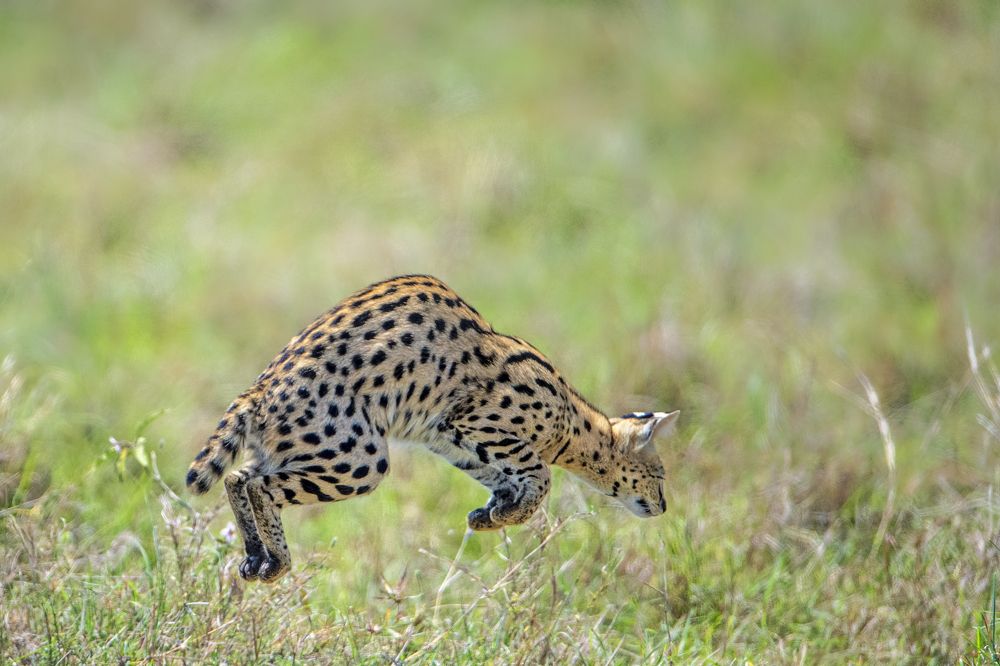 Photograph by Dilip Shah