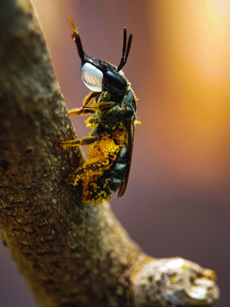 Photograph by Soaham Sur