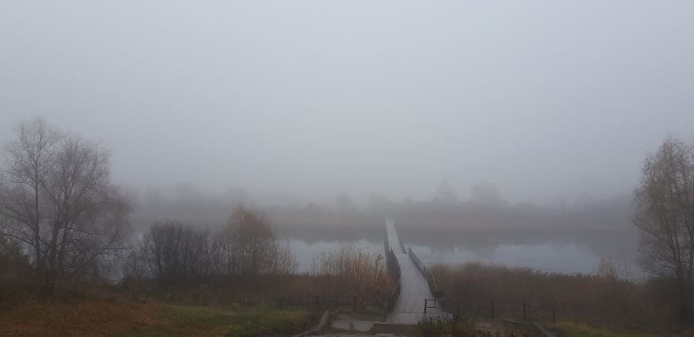 Photograph by Людмила Колеватова