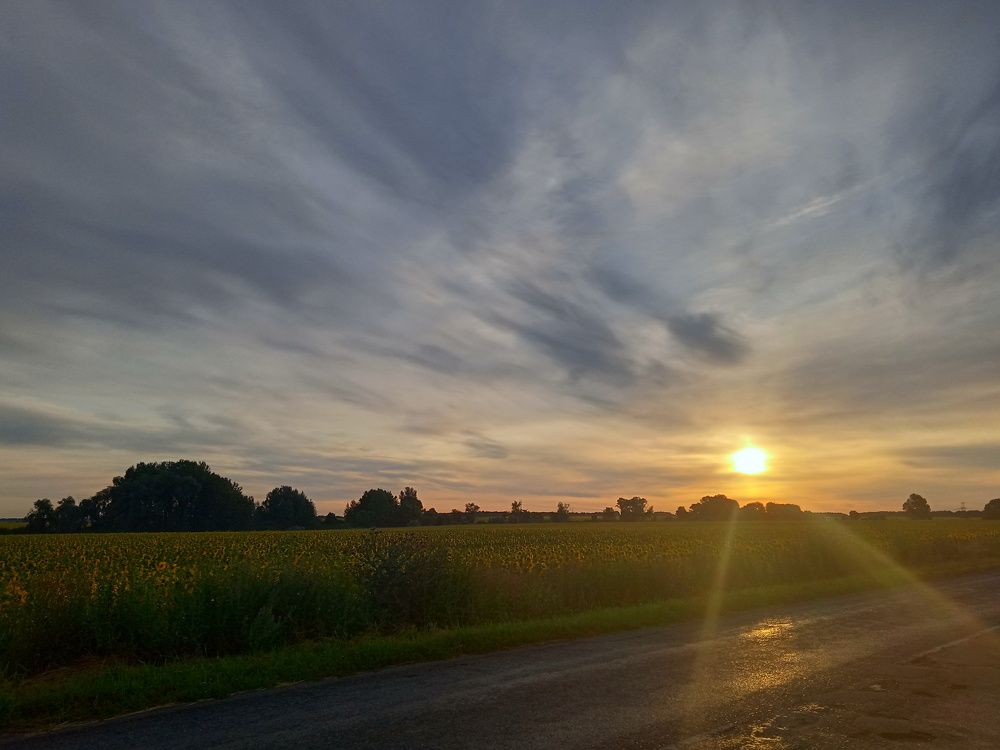 Photo #6769874