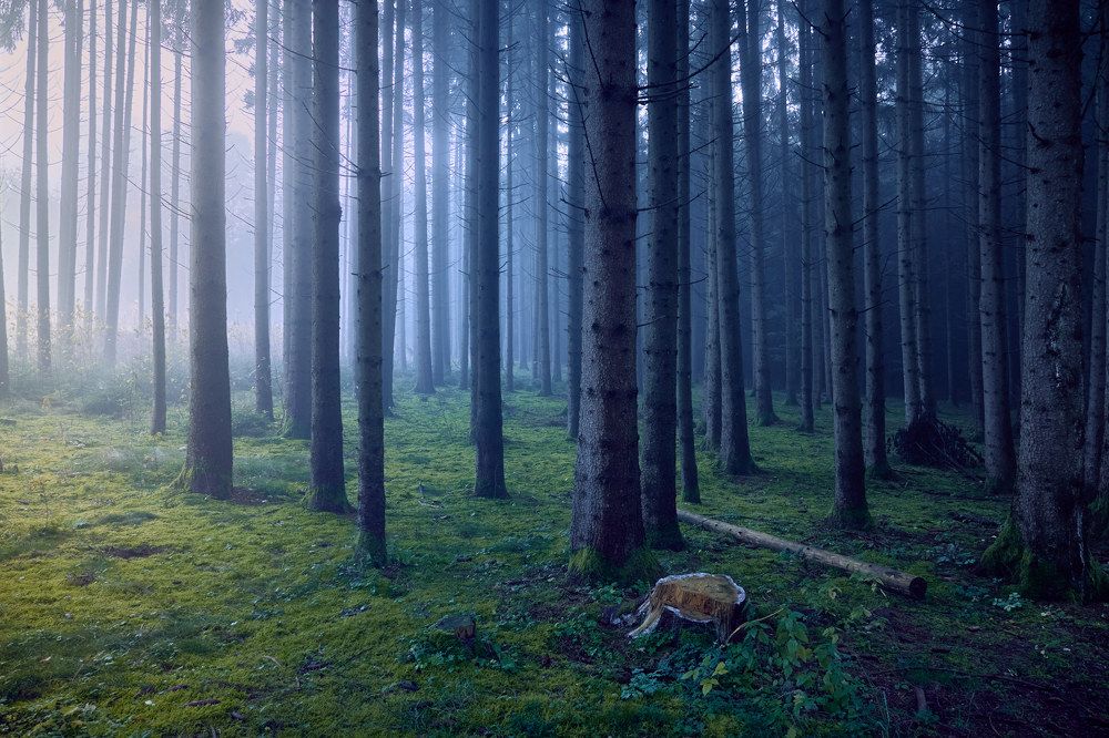 Photograph by Juri Vollenweider