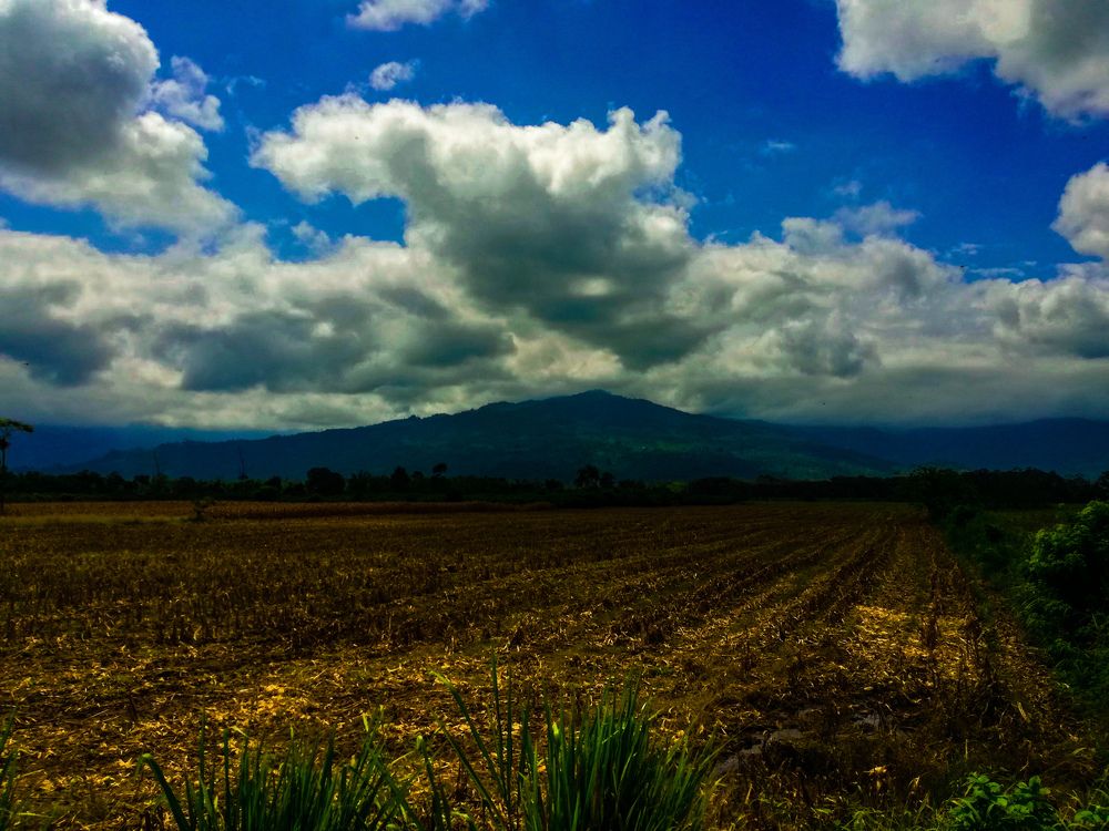 Photograph by Egduar Herrera