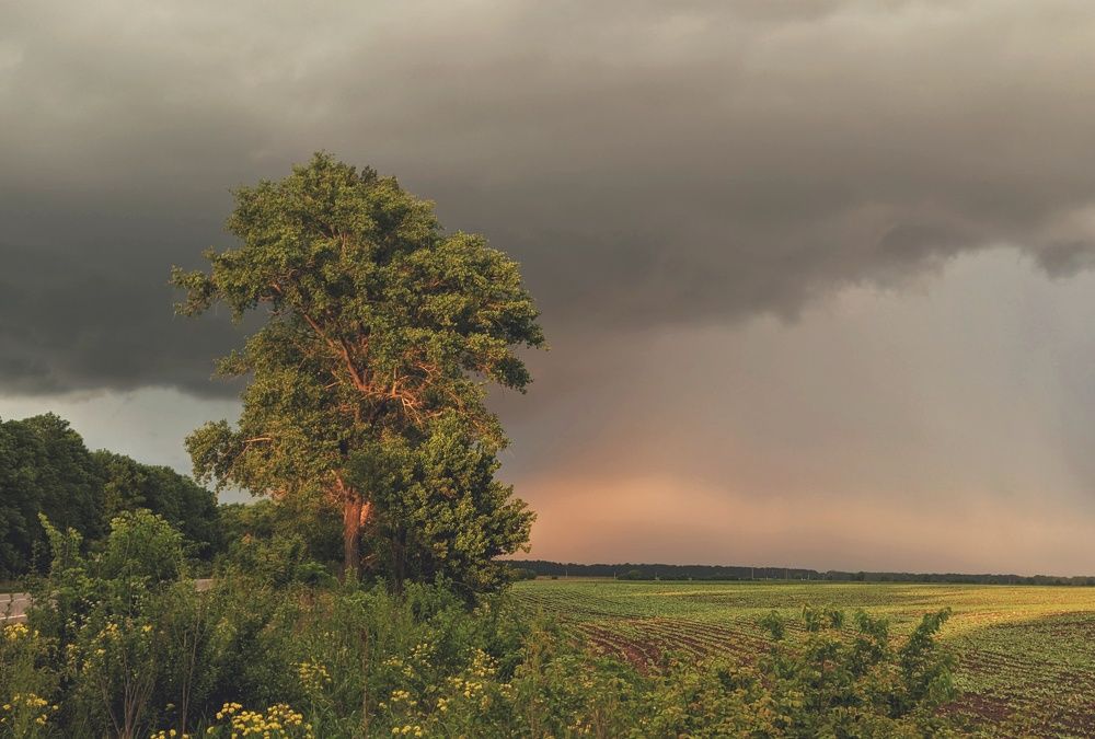 Photograph by Сергей Скарженюк