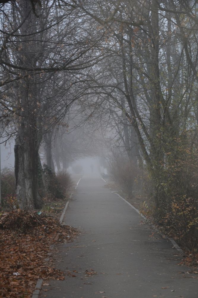 Photograph by Helena Lugowska